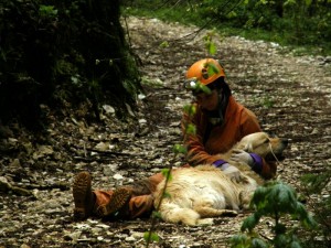 kukar riconoscente