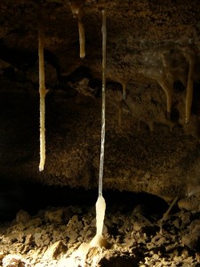 meravigliose