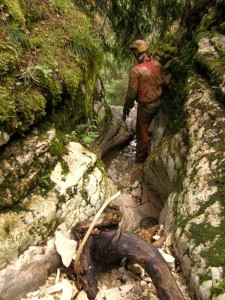 verso il baratro