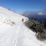 verso l'ingresso